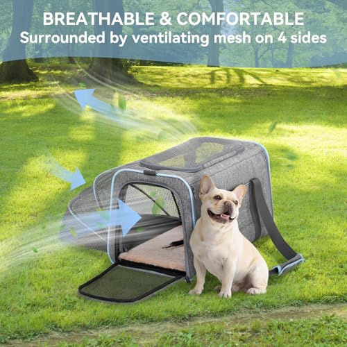 Large Expandable Cat Carrier for Travel (19.0"L x 12.0"W x 12.0"H / Light Gray)