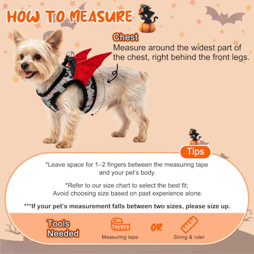 Halloween Dog Harness Medium Sized and Leash Set (Medium(Chest Girth 16" - 18") / Halloween Grey)