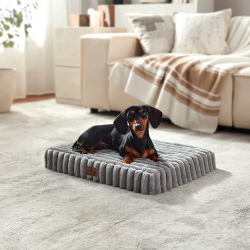 Dog Bed Small Sized for Crate (Grey / S(23x18x3"))