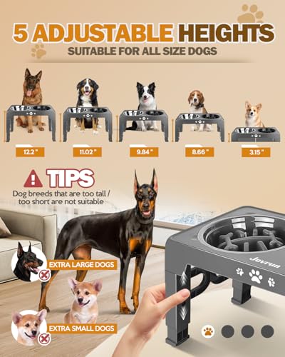 Elevated Dog Bowls for Medium Large Size Dogs (for Medium Large Dogs 1 Basic&1Slow Bowl / Grey)