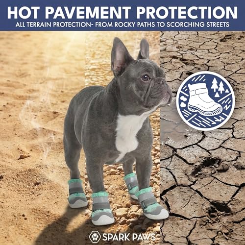 365 Dog Shoes (Turquoise / Size 5: 2.4"x2.76"(W*L) (Pack of 4))