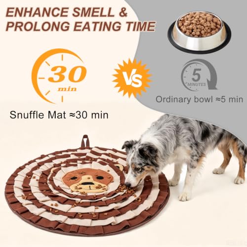 Snuffle Mat for Dogs (Lion)