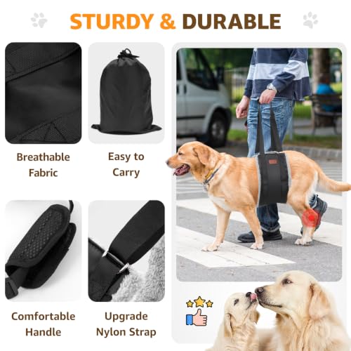 Adjustable Dog Lift Harness (Black / X-Large)