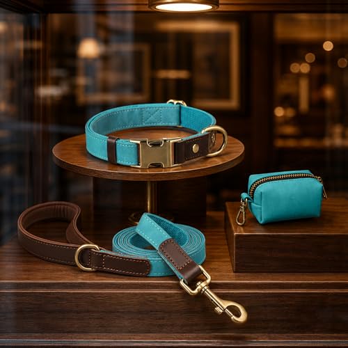 PU Leather Dog Leash for Medium Dogs (Light Blue / 3/4''x 5FT)