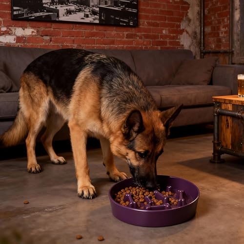 Ceramic Slow Feeder Dog Bowls (Purple Bone)