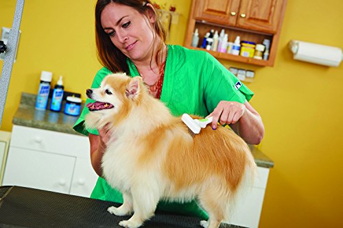 65735 Flexible Single Row Dog Brush