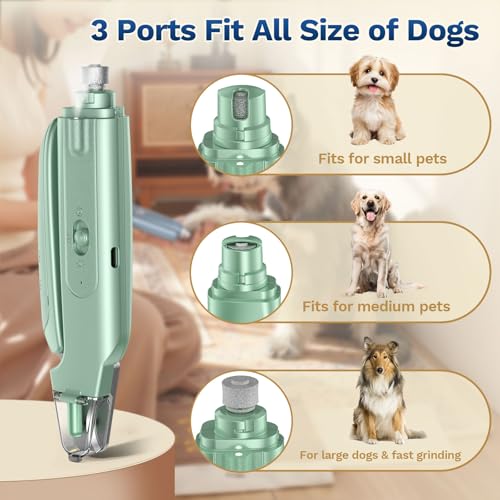 2-in-1 Dog & Cat Nail Clipper with Grinder, LED Light Rechargeable Grooming (Green)