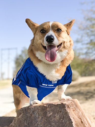 NFL New York Giants Dog Jersey (X-Small / New York Giants)