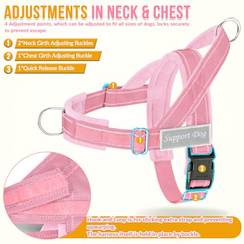 No Pull Dog Harness and Leash Set (Pink / Small)