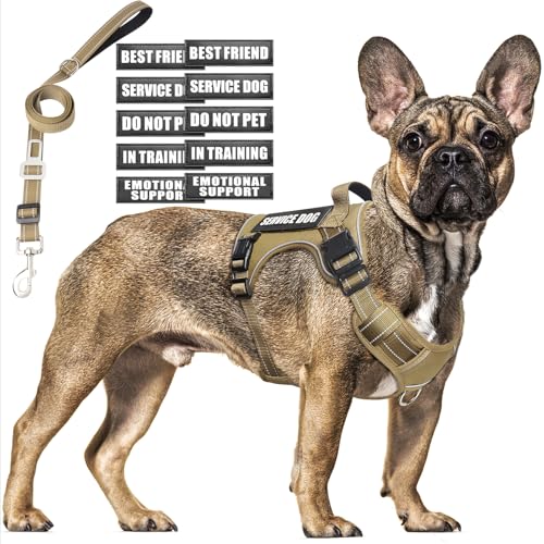 Tactical Dog Harness and Leash Set Medium Sized Dog+10 Dog Patches (Medium / Brown)