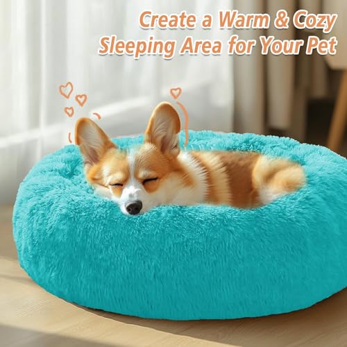 Calming Dog Bed Medium Size Dog (Aqua Blue / 27.0"L x 27.0"W x 8.0"Th)