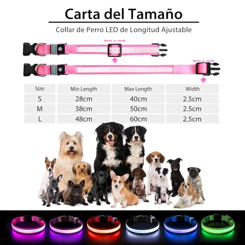 Light up Dog Collar (Pink / L(19 inch-23.6 inch))