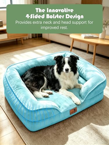 Orthopedic Dog Bed with Sides (35.0"L x 25.0"W x 6.5"Th / Ice Blue)