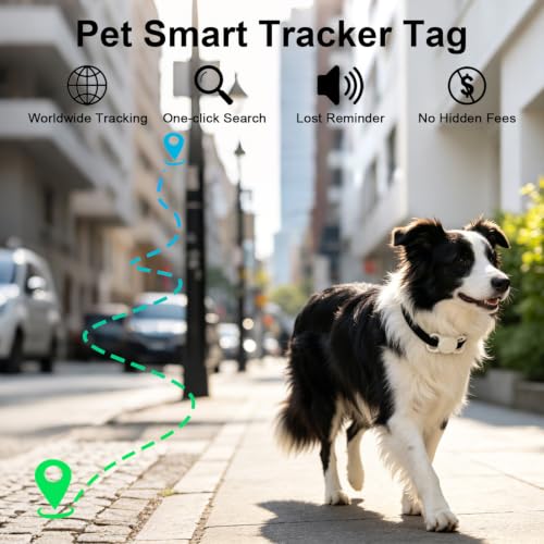 Pet Tracker Tag