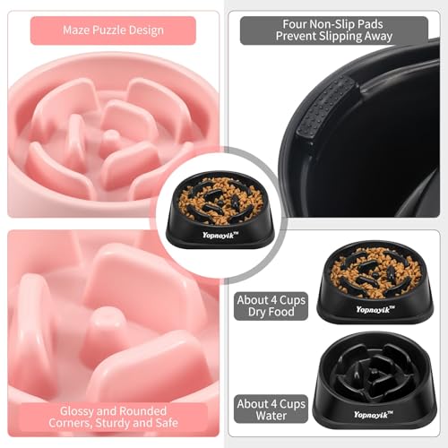 2 Pack Slow Feeder Dog Bowls for Large Dogs (Large / Black and Pink)