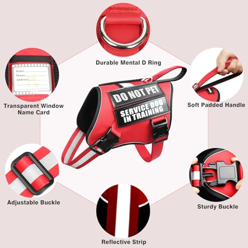 Service Dog Harness and Leash Set (Large / Red)