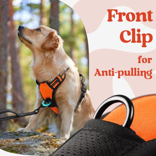 Dog Harness Small Sized (Small / Orange)