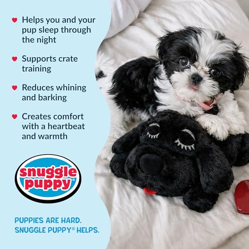 Snuggle Puppy Junior Heartbeat Toy (Black)