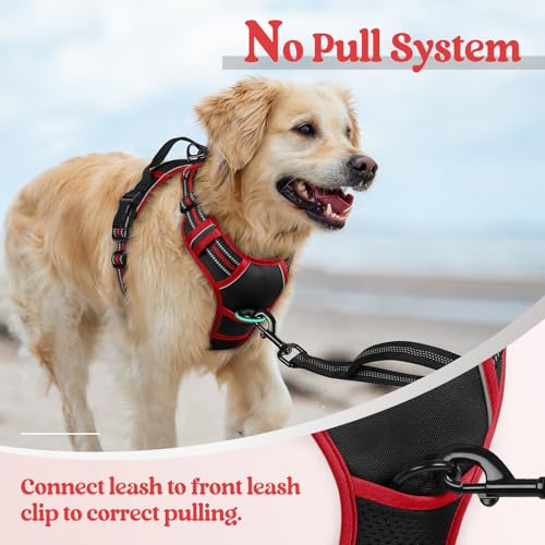 Dog Harness No Pull Medium Sized with 2 Leash Clips (Medium / Black & Red)