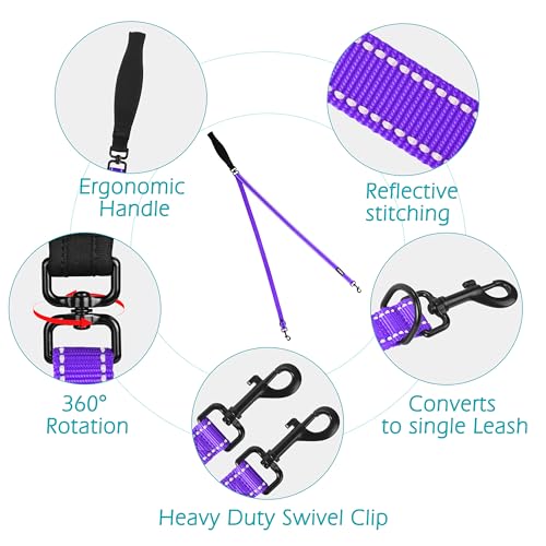 Two Point Control Dog Leash (Purple)