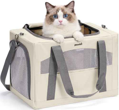 Cat Carrier Stable (Beige / 18.5"L x 12.9"W x 11.8"H)