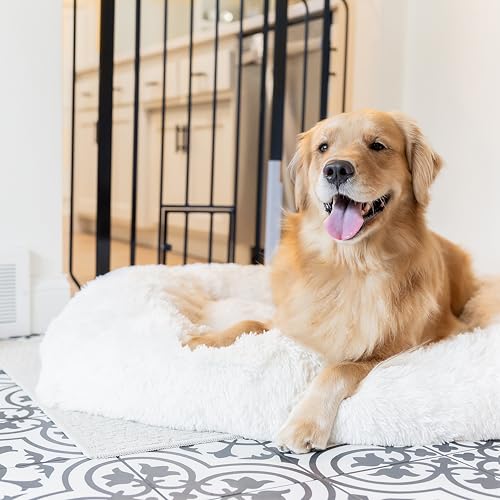 Carlson 36" Extra Tall Walk Through Dog Gate for Doorways & Bottom of Stairs (Black / 29.5-36.5" W x 36" H)