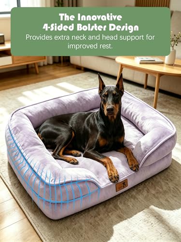 Orthopedic Dog Bed with Sides (48.0"L x 35.0"W x 8.0"Th / Purple)