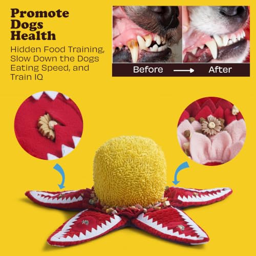 Hide and Seek Plush Dog Toys (Rafflesia)