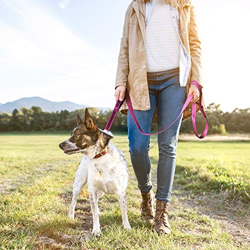 6FT 1IN Heavy Duty Dog Leash for Large Dogs with 2 Padded Handles (Rose / 1 in x 6 ft)