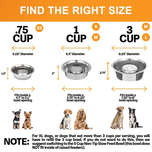 Stainless Steel Slow Feed Dog Bowl for Fast Eating Medium Breed (1 Cup - Standard)