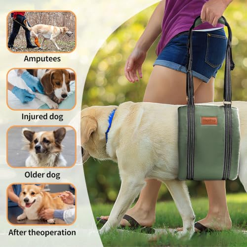 Dog Lift Harness for Large Dogs (X-Large (Pack of 1) / Army green)