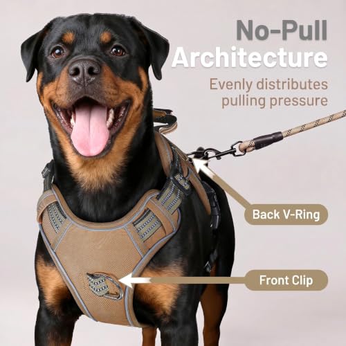 Dog Harness and Leash Set for Medium Dogs (Khaki / M)