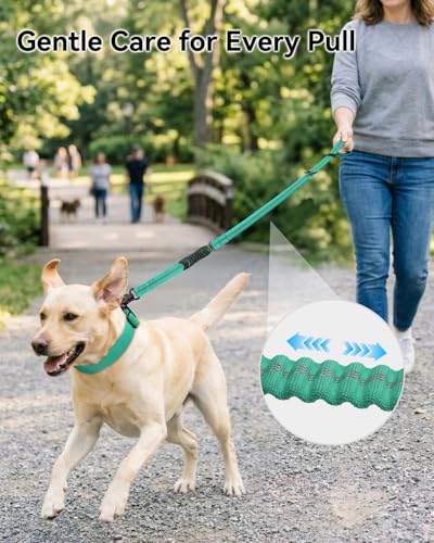 Tactical Bungee Dog Leash (Teal)