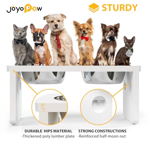 Elevated Dog Bowls (White / Medium: 7'' Tall-40oz Bowl)