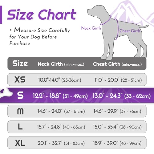 Dog Harness for Small Dogs (Small / Purple)