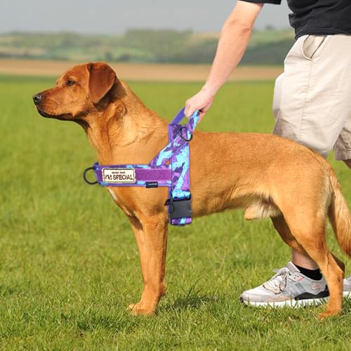 No Pull Dog Harness with Soft Padded Handle (L / Camo Purple)