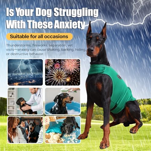 Dog Anxiety Vest (S-Chest(11"-14.9") / Green)