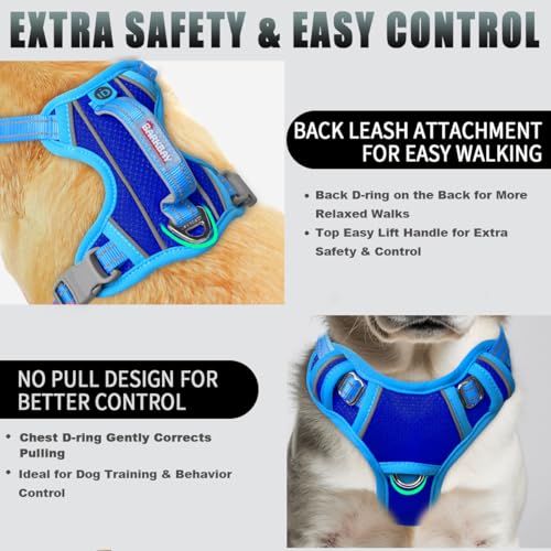 Dog Harness for Small Sized Dog No Pull Dog Vest ID Tag Pocket (Sapphire Blue & Blue / Small)