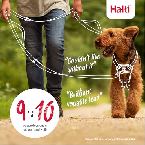 Control Leash for Dogs (Single)