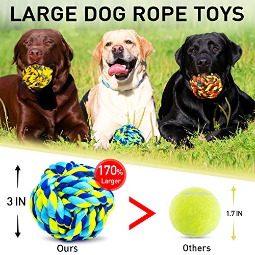 Dog Toys for Aggressive Chewers (6 Packs / Large)