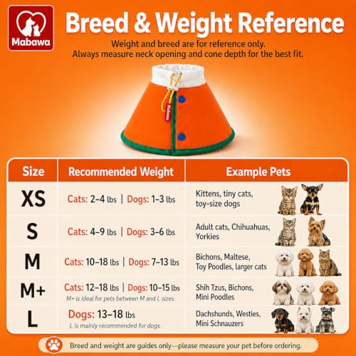 Soft Dog Cone Collar for Dogs & Cats (Orange / XS)