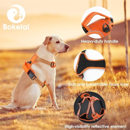 No Pull Dog Harness for Large Dog with Leash (Orange / XL)