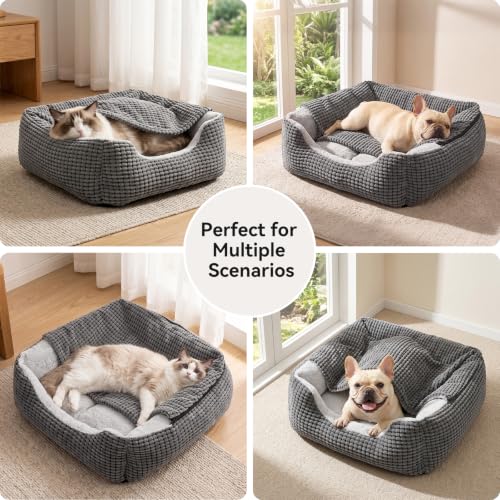Dog Beds for Small Dogs with Cover Cave (Grey / S(20″ x 19″ x 6″))