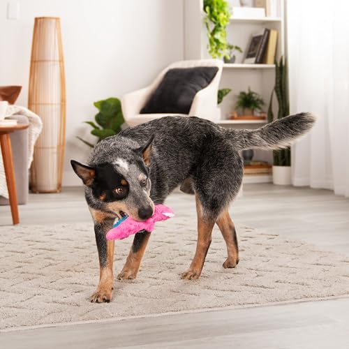 Just For Me Gators Squeaky Plush Dog Toy