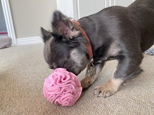 Puppy Small Breed Snuffle Dog Puzzle Ball Toy Pink Extra Small (Pink / Extra Small)