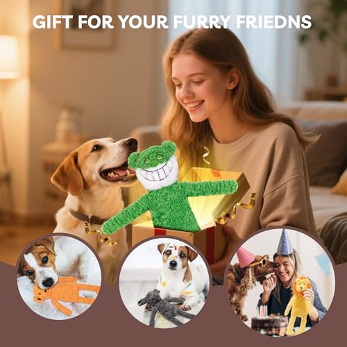 No Stuffing Dog Toys 5 Pack (For Medium and Large Breed / 5 Pack - Soft Plush)