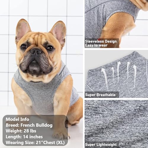 Reflective Dog Shirt (Large (13-19lbs) / 2#Grey)