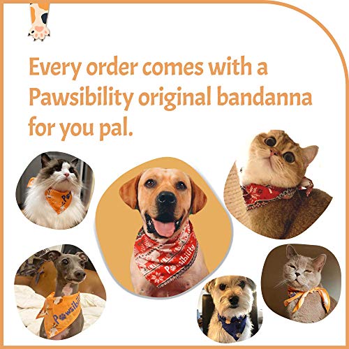 Reinvented Pet Nail Clippers for Your Pal (Small&Medium / Aqua)