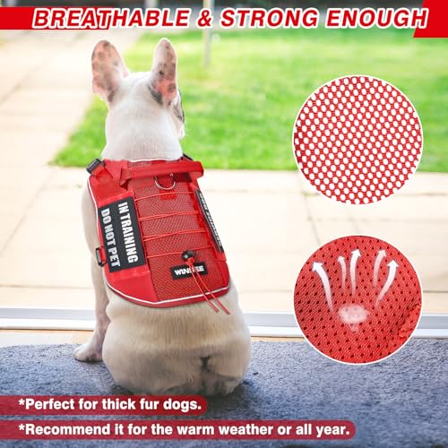 Service Dog in Training Mesh Harness with 10 Removale Pet Patches (Small / Red)
