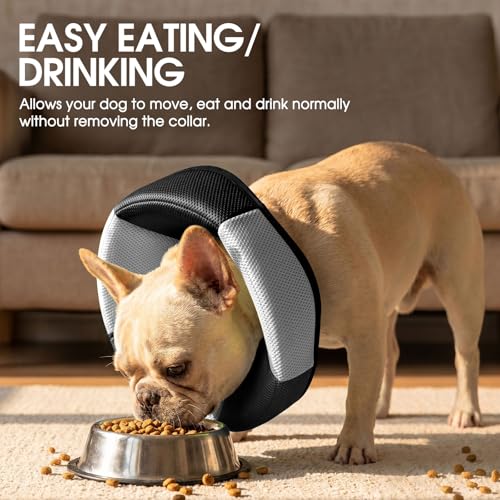 Dog Cone Soft Cone for Dogs to Stop Licking (Black / Small)